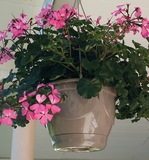 Hanging flower pots